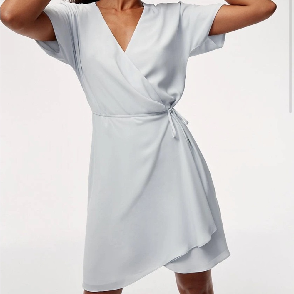 Aritzia Babaton Wallace dress